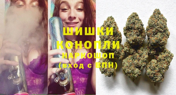 гидра Козловка