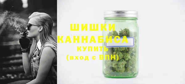 гидра Козловка