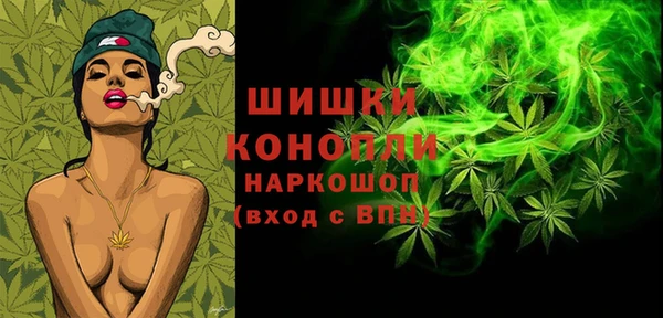 гидра Козловка