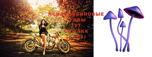 гидра Козловка