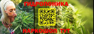 кокс Гусиноозёрск