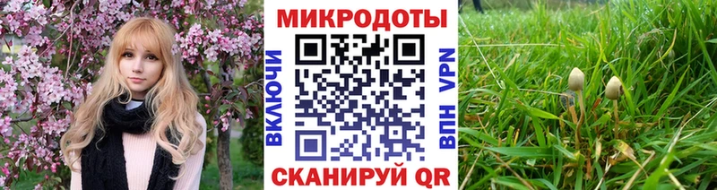купить наркотики сайты  Комсомольск-на-Амуре  Псилоцибиновые грибы Cubensis 