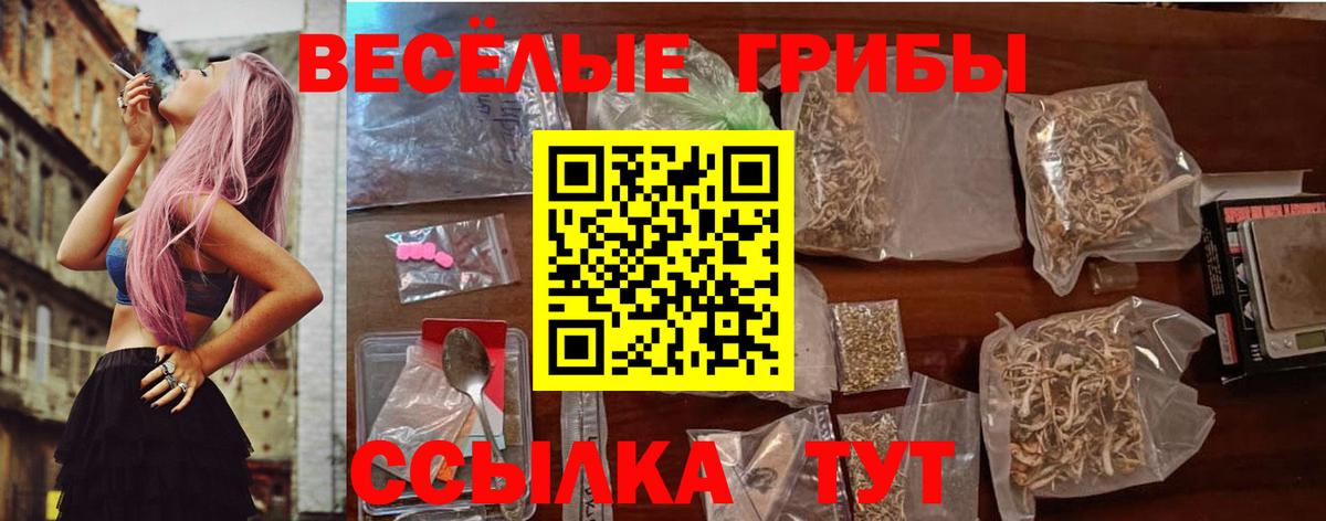 Псилоцибиновые грибы Psilocybe  Вход с VPN  наркошоп  Комсомольск-на-Амуре 